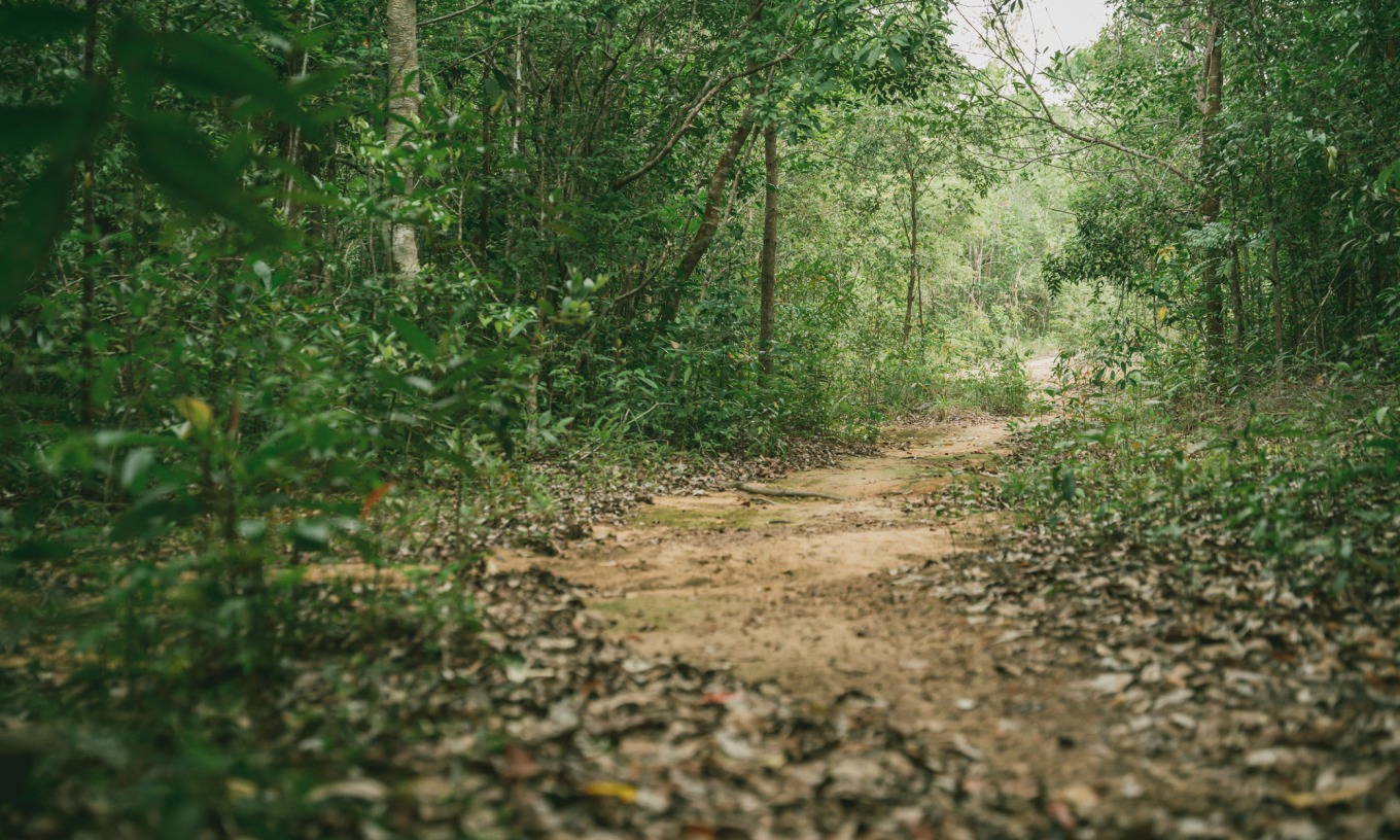 Trekking Vườn Quốc gia Phú Quốc